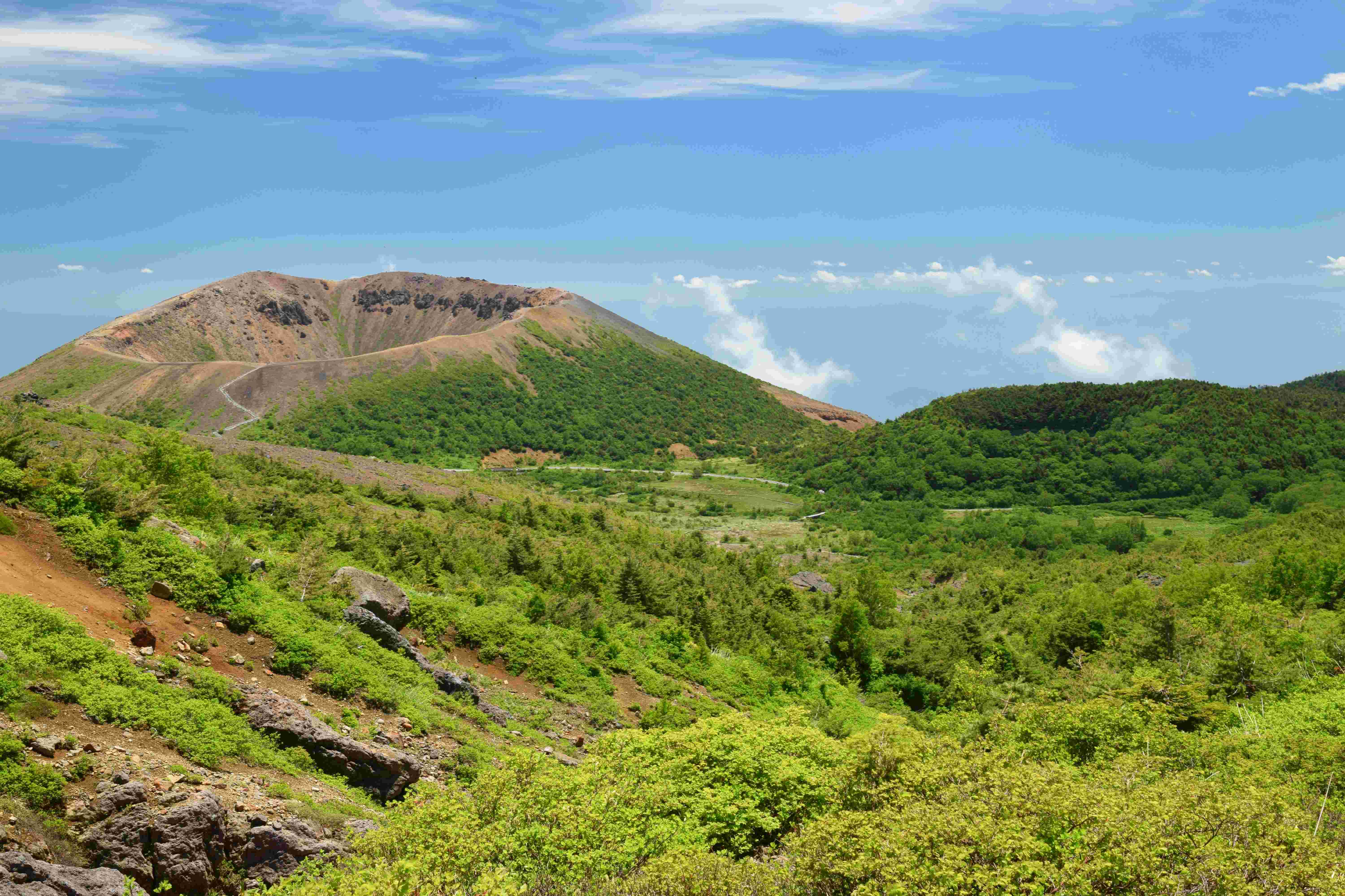 🍂 덴구의 정원 (텐구노니와) 이미지 1
